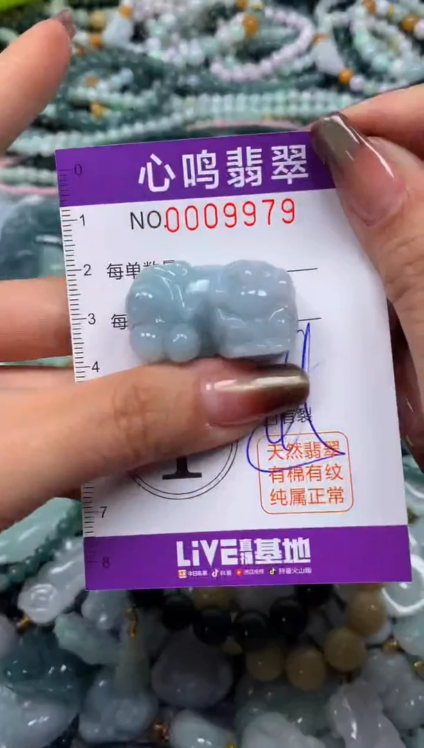 颈饰未镶嵌翡翠闪购009979