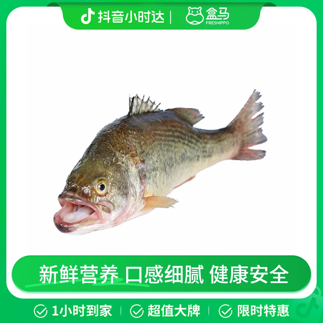 【盒马安心鱼】冷鲜 鲈鱼 500-600g/条