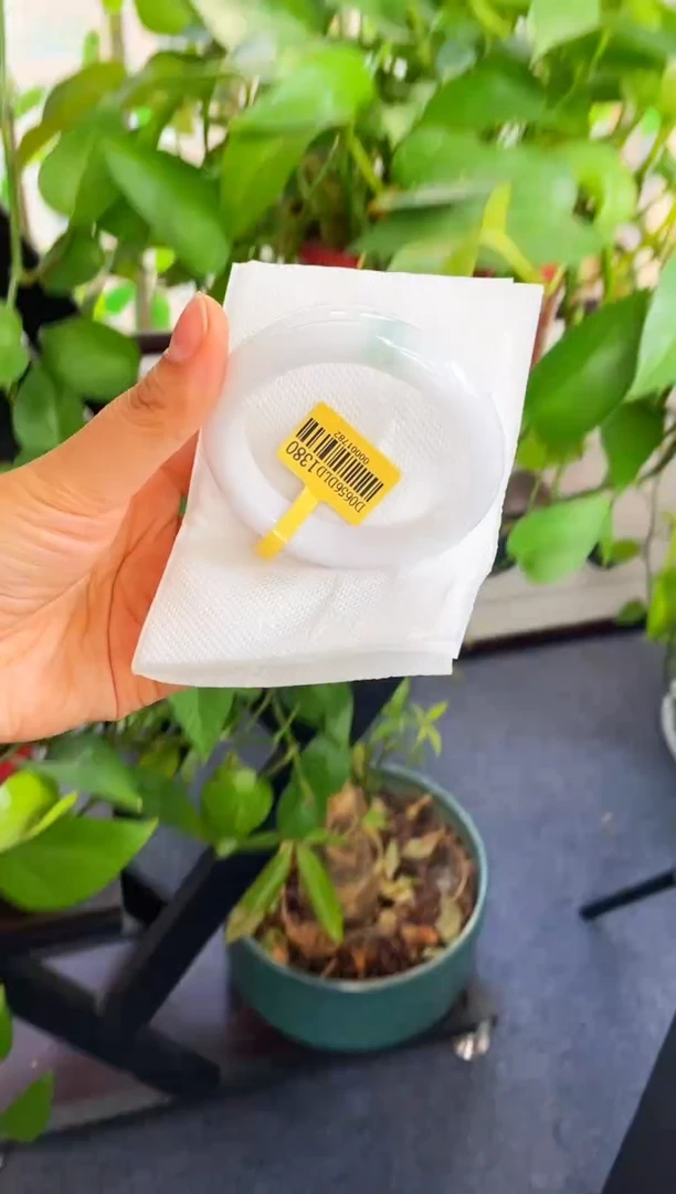未镶嵌手镯翡翠?***?507-55.7