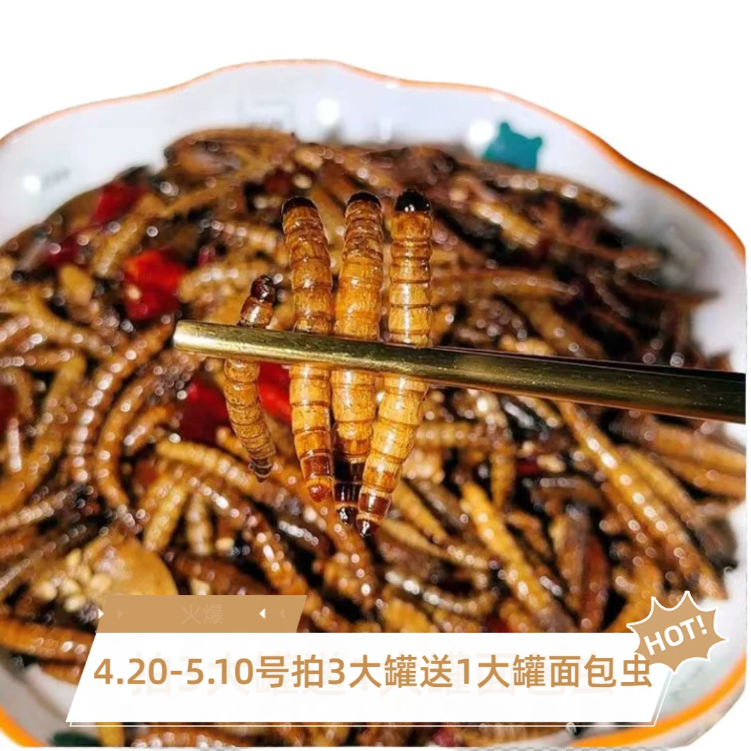 方便即食香酥大麦虫油炸农家特产方便虫子昆虫小零食