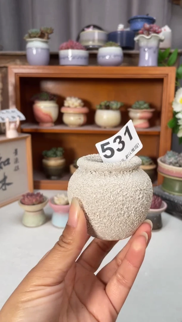 瓷片531小芳直播编号