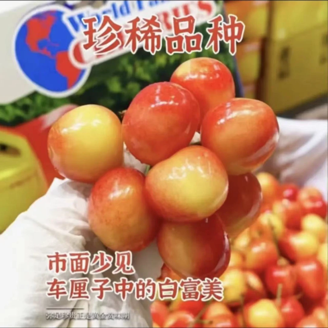MISS O雷尼尔4J金车2.2kg车厘子