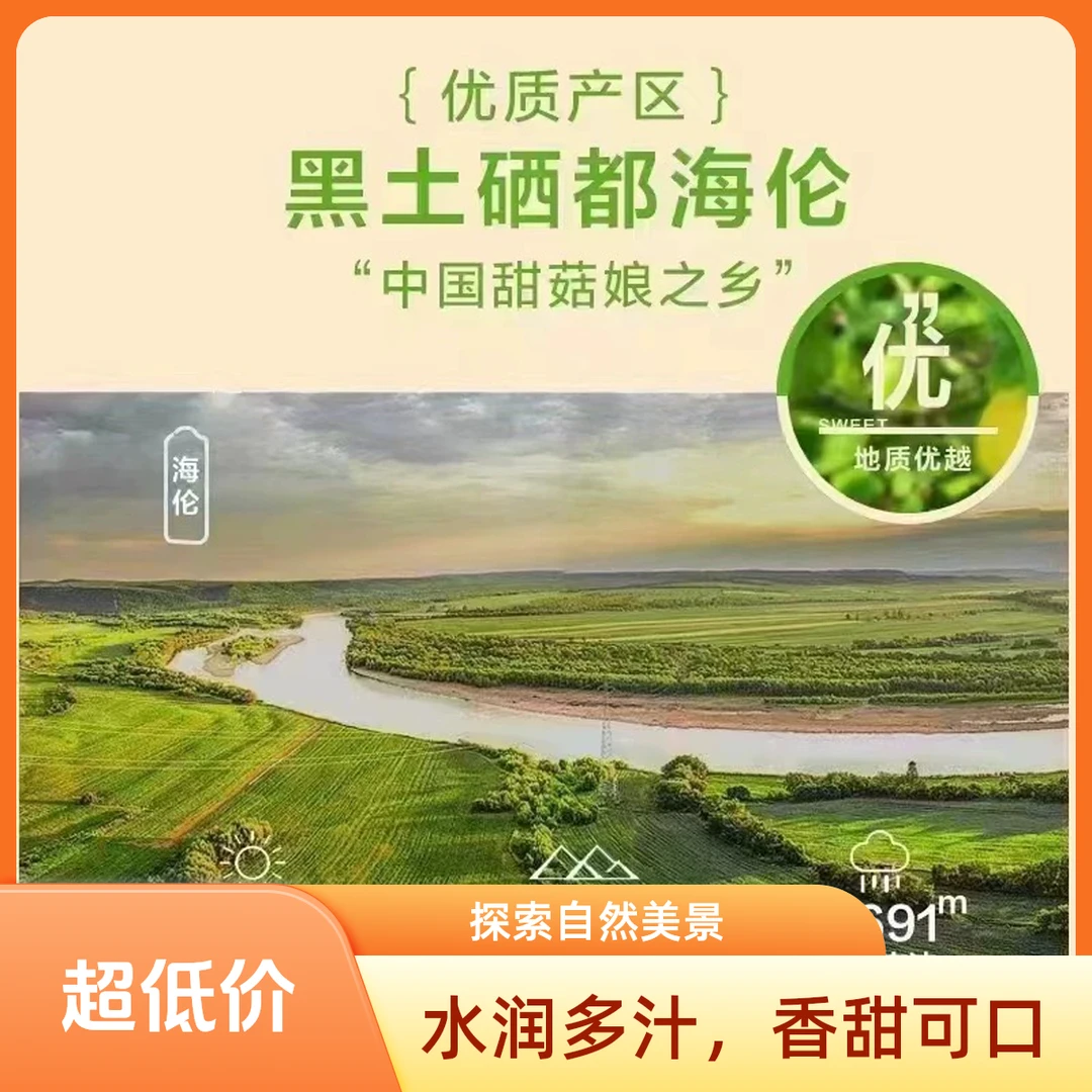 东北嘎嘎甜姑娘果