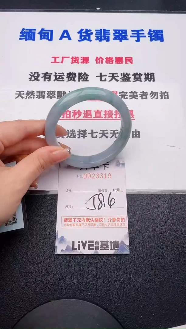 未镶嵌手镯翡翠19