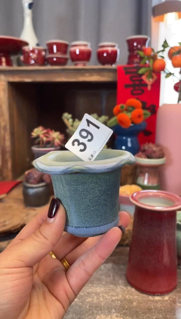 【闪购商品】摆件391知木小芳花盆