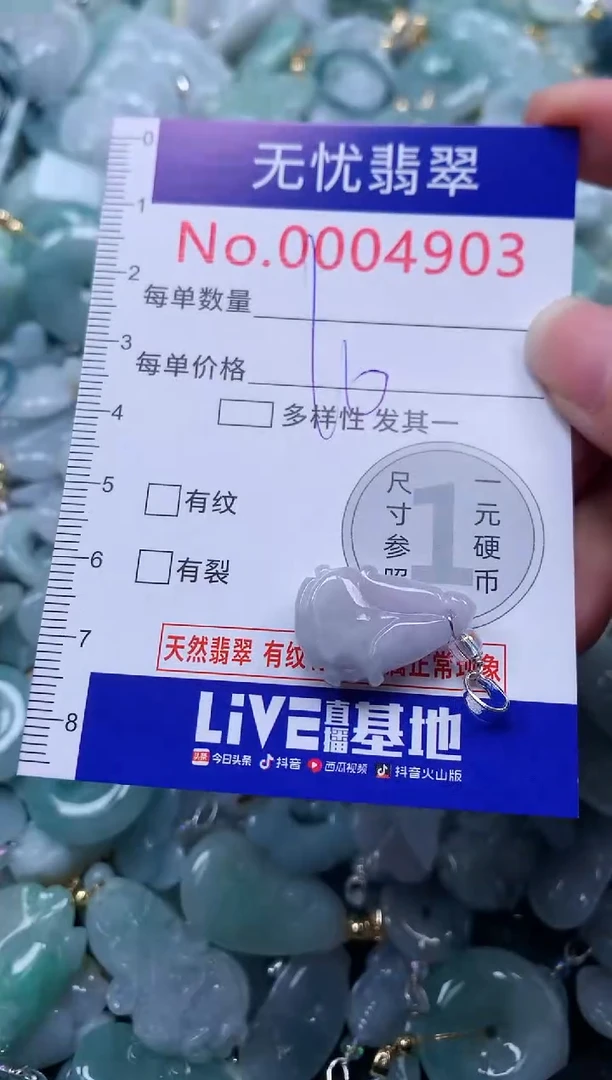 颈饰未镶嵌翡翠4903