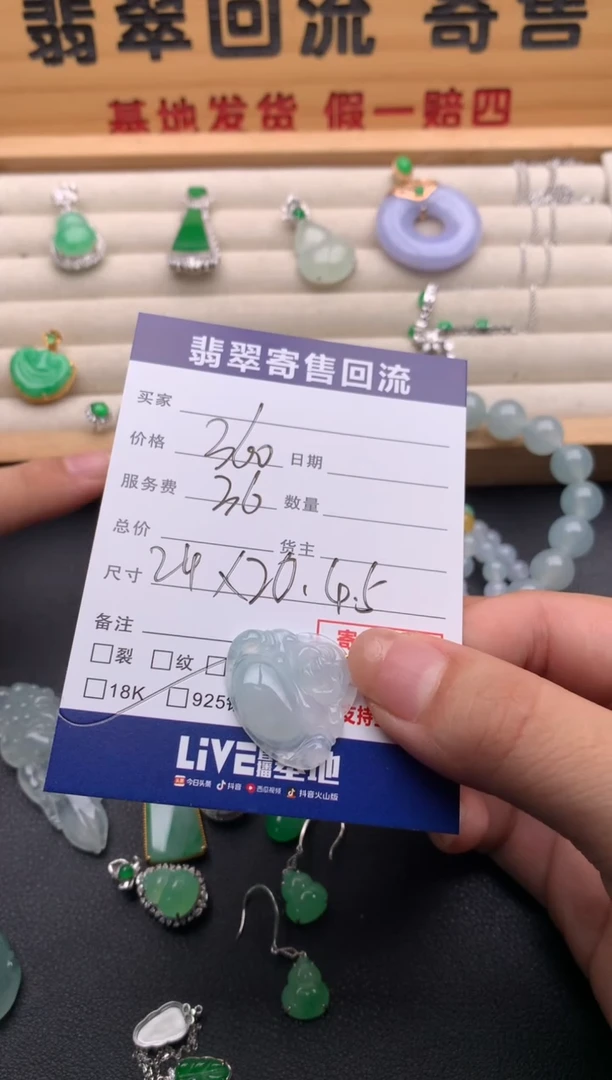 翡翠18K金镶嵌颈饰10136622