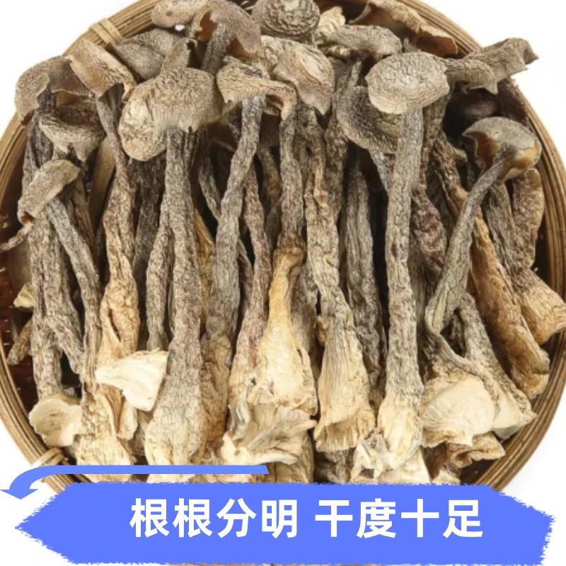 100g~1000g鹿茸菇高山鹿茸菇新货无硫无熏可凉拌炒肉煲汤的干货