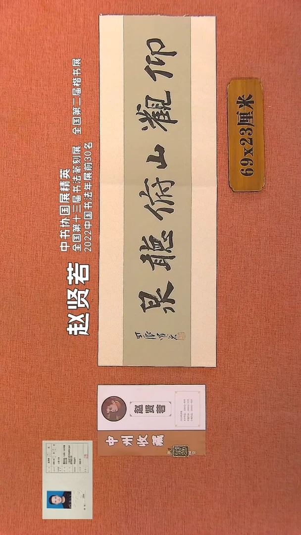 【闪购商品】书法271        赵贤若书法作品