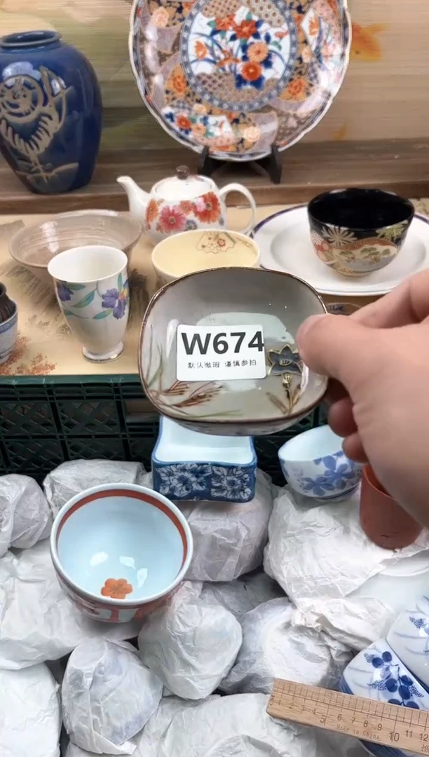 瓷片虫*674