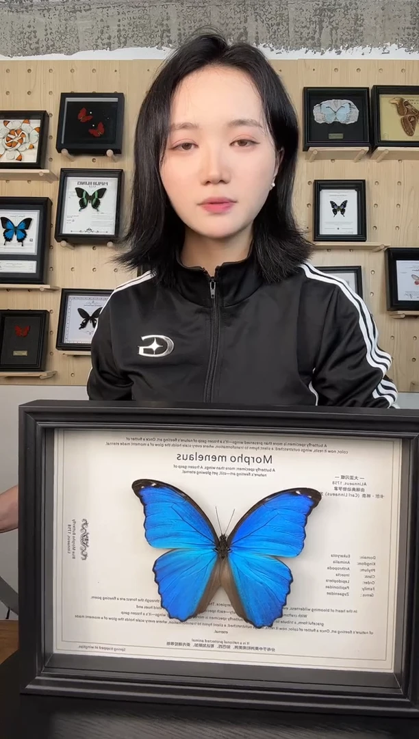 横版大蓝闪蝶蝴蝶装饰画A4框