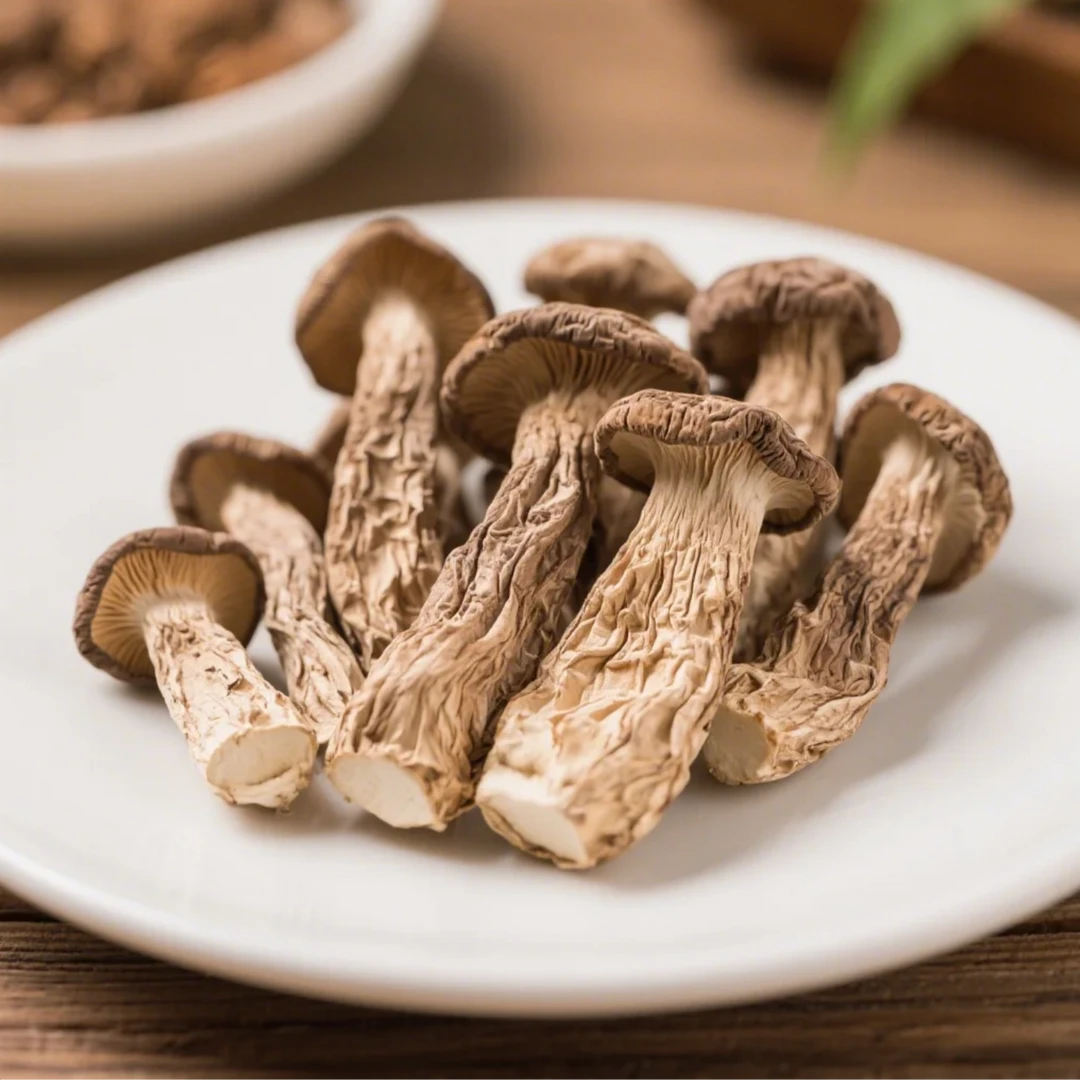 ［山货出山］湖北南漳大山农家鹿茸菇干货鹿茸菌脆脆菇煲汤