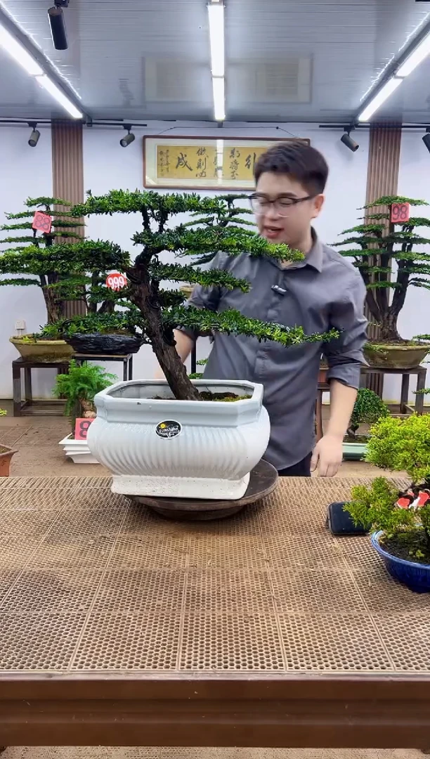 无花朵一物一拍，所见即所得