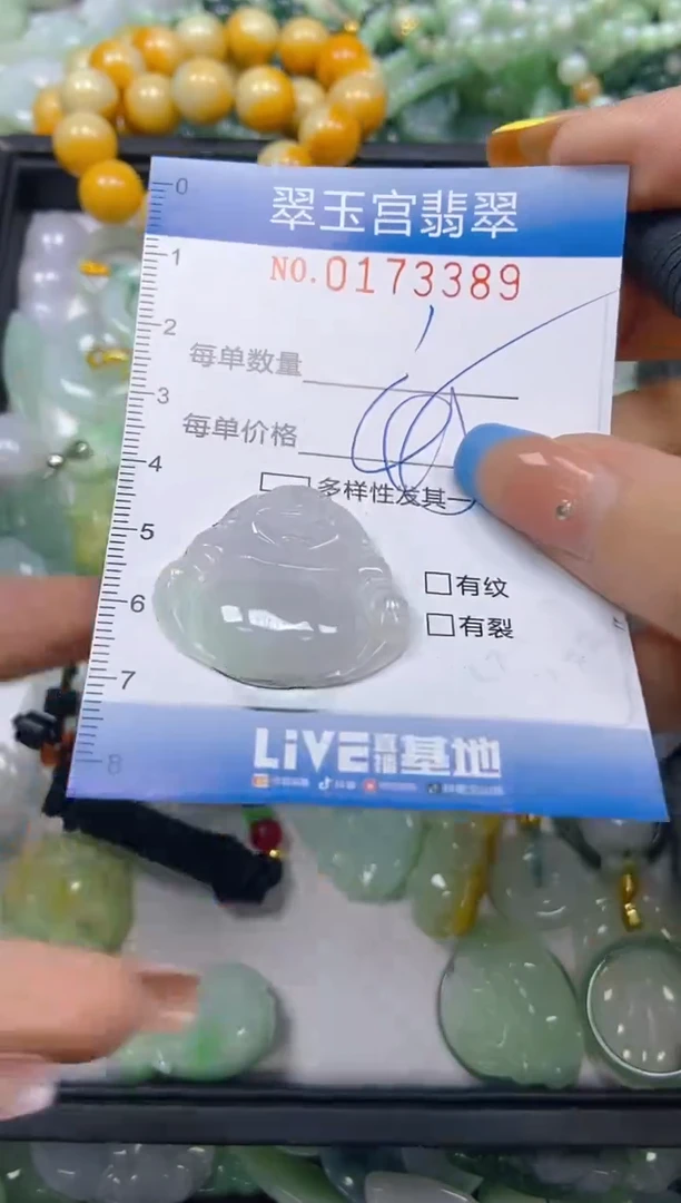 翡翠未镶嵌颈饰闪购0173389