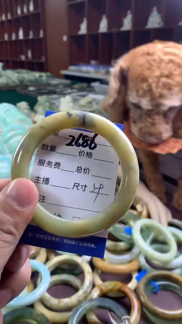 未镶嵌蛇纹石玉手镯2686