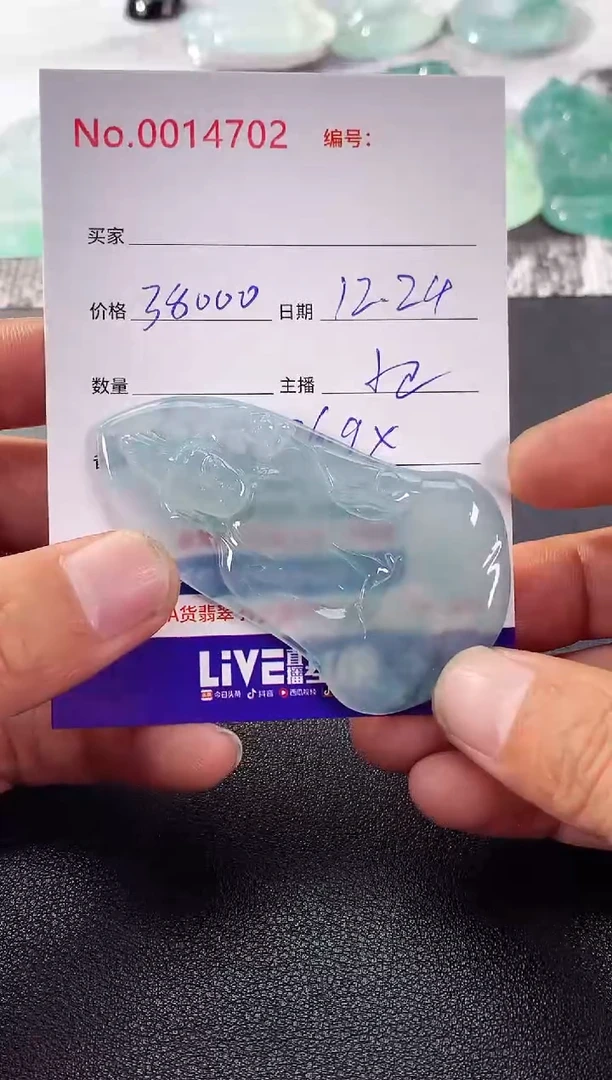 颈饰未镶嵌翡翠素衣