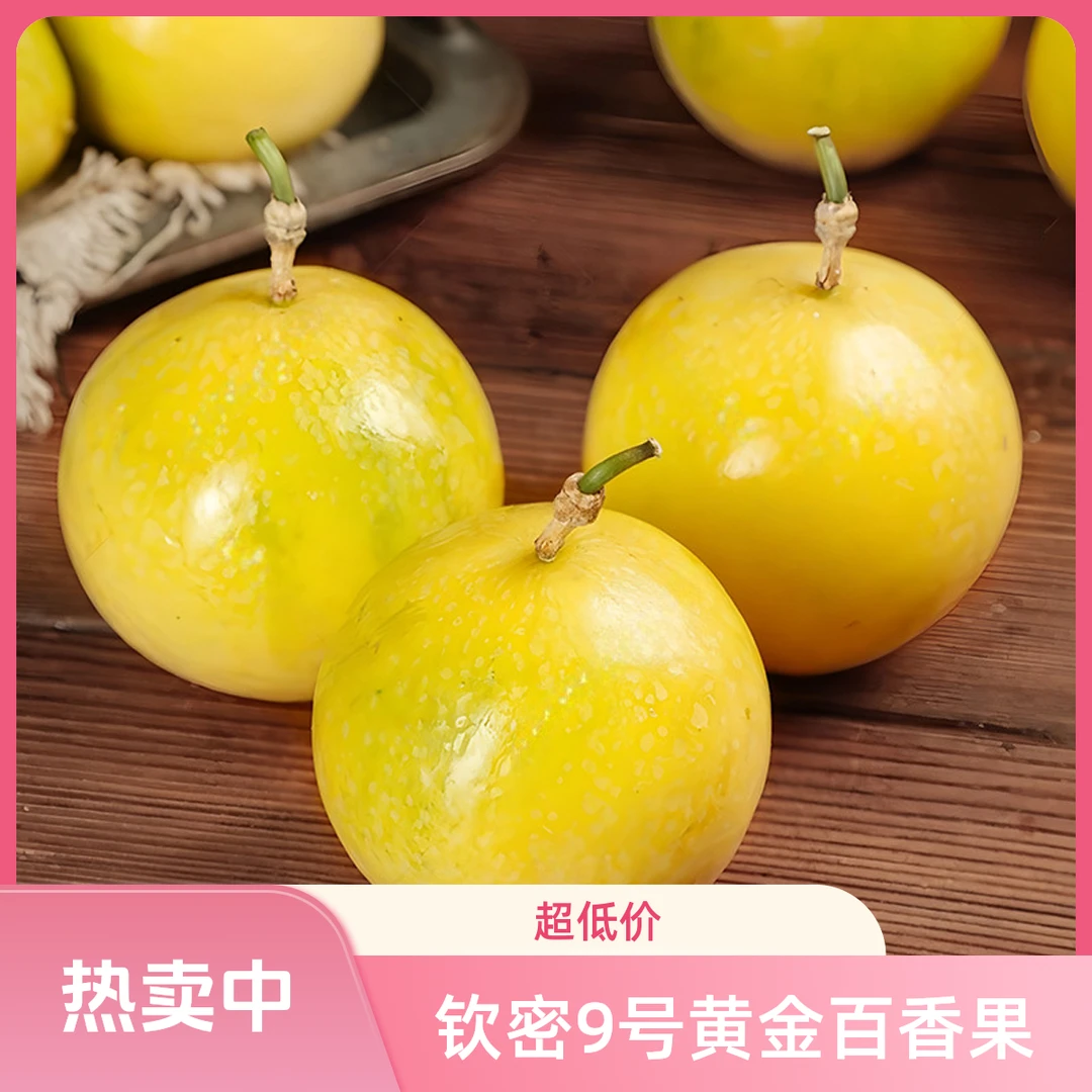 广西新鲜百香果 钦密9号大果黄金百香果 产地直发24小时发货