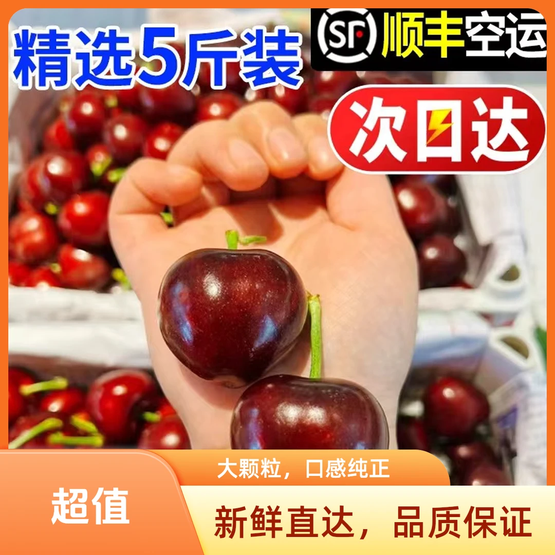 每日现摘烟台美早大樱桃，顺丰包邮次日达 1J 2J 3J 3斤5斤装新鲜水果美早樱桃