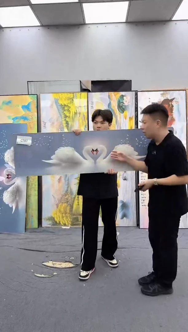 孤品微瑕黑马闪购C767