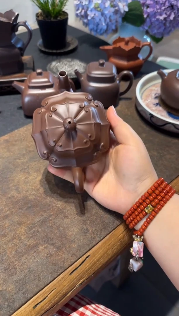 茶壶紫砂向阳而生