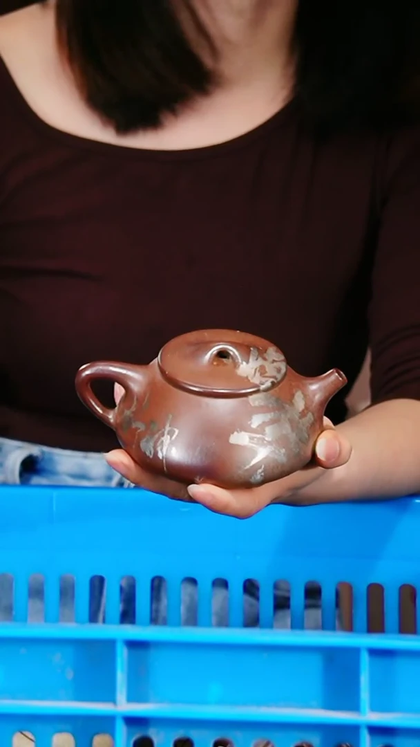 宜兴原矿紫砂壶茶壶250C