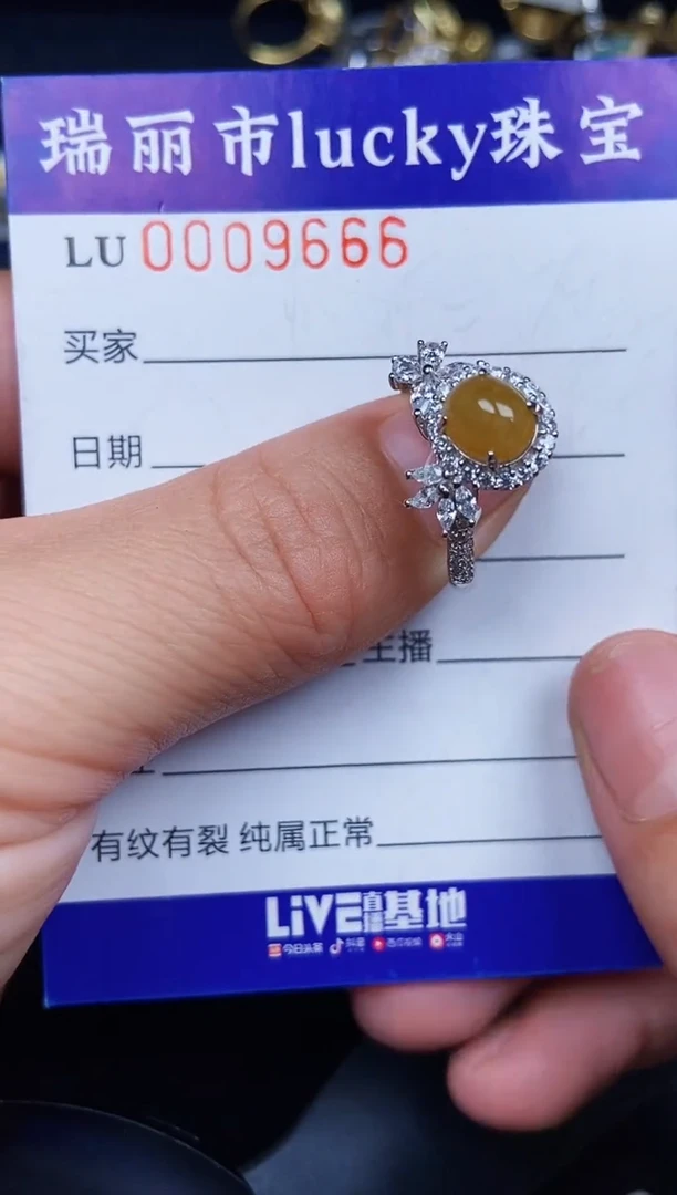 翡翠银S925镶嵌颈饰9666
