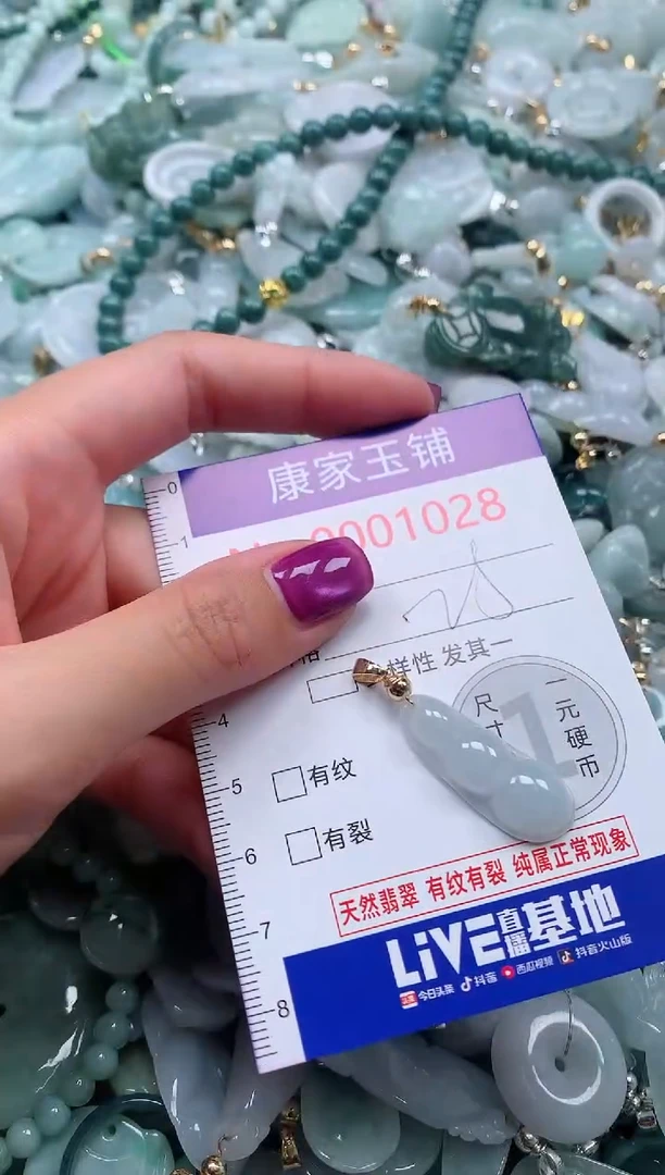 颈饰未镶嵌翡翠1028