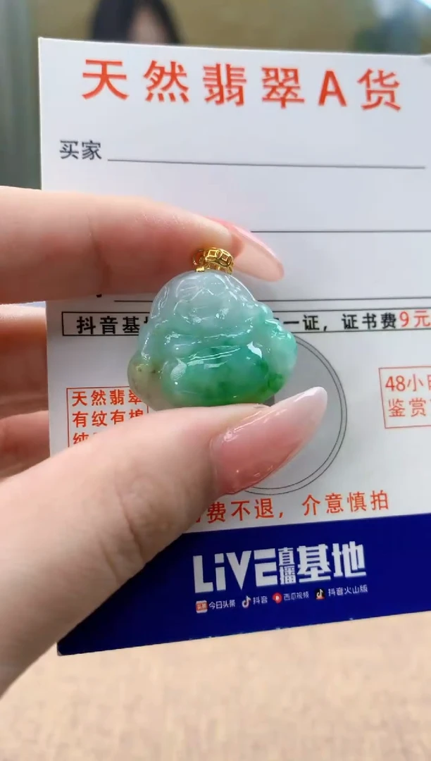 颈饰未镶嵌翡翠天然A货翡翠挂件