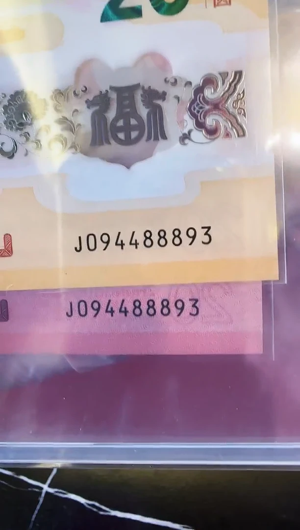 【闪购商品】塑料2025龙蛇钞全同号094488893裸