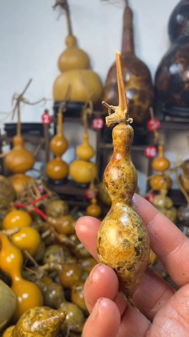 【闪购商品】葫芦葫芦葫芦葫芦