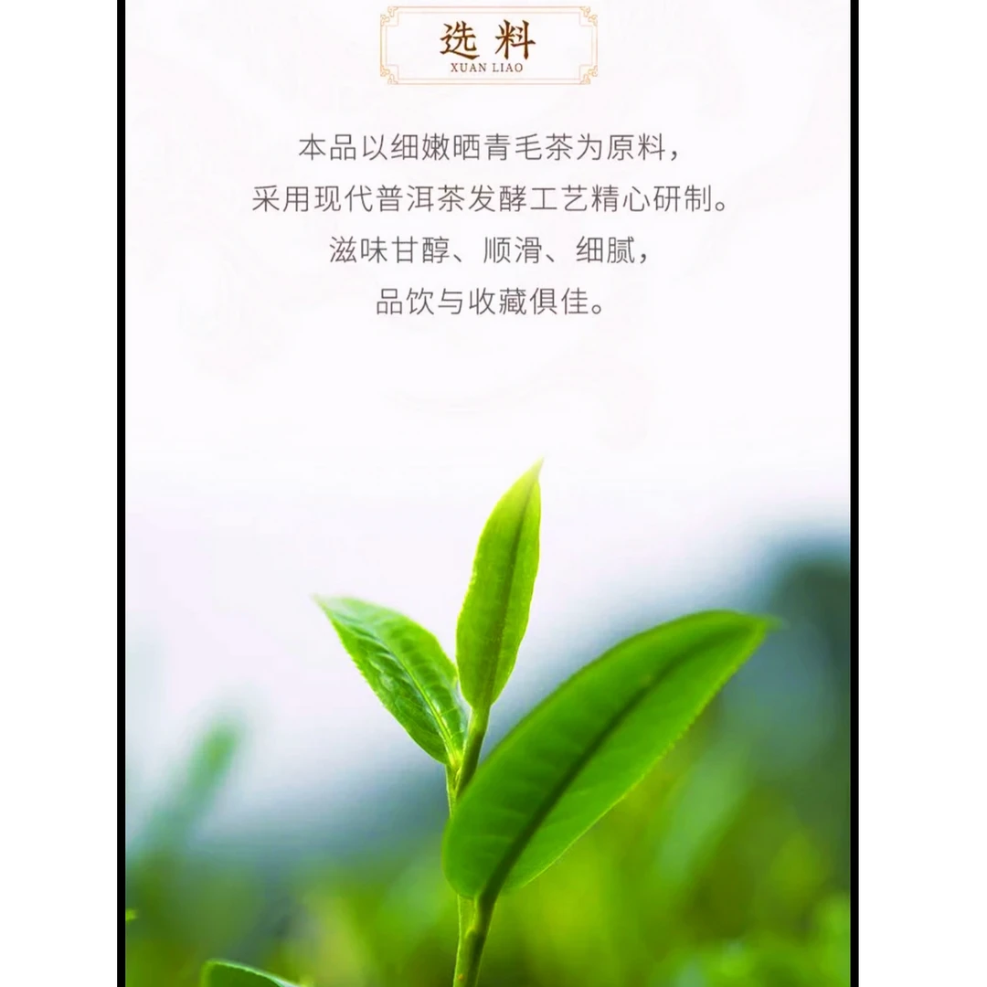 2009年巴达高山有机茶 生茶 花蜜香花果香