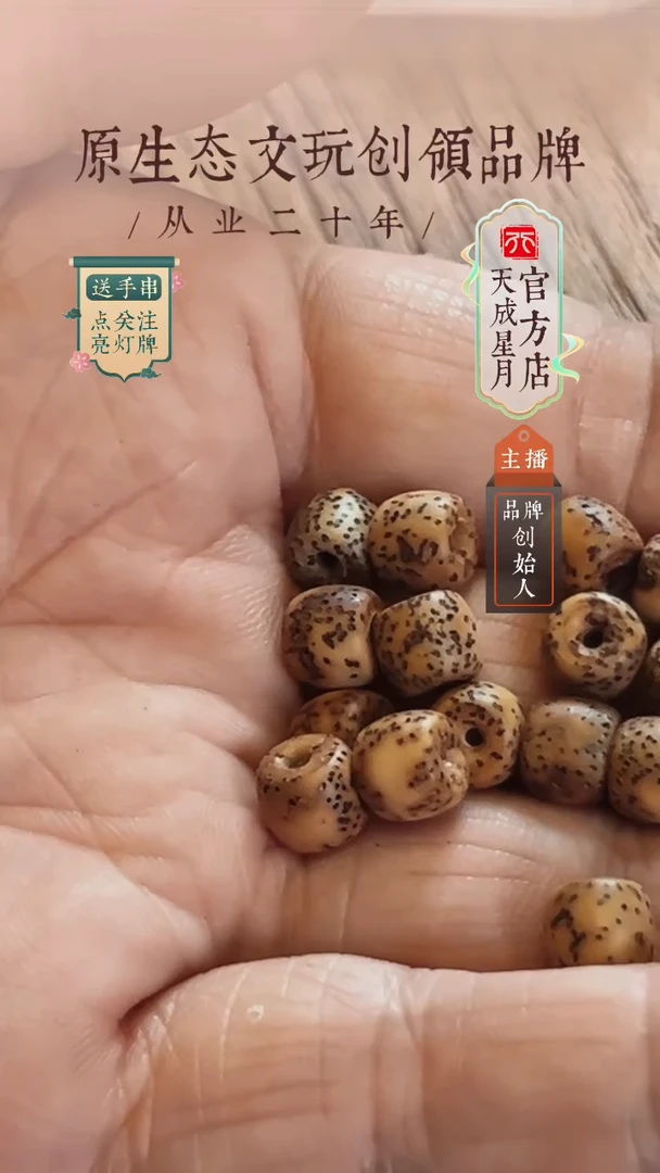 №*37x6mm  大金点 长串  桶珠