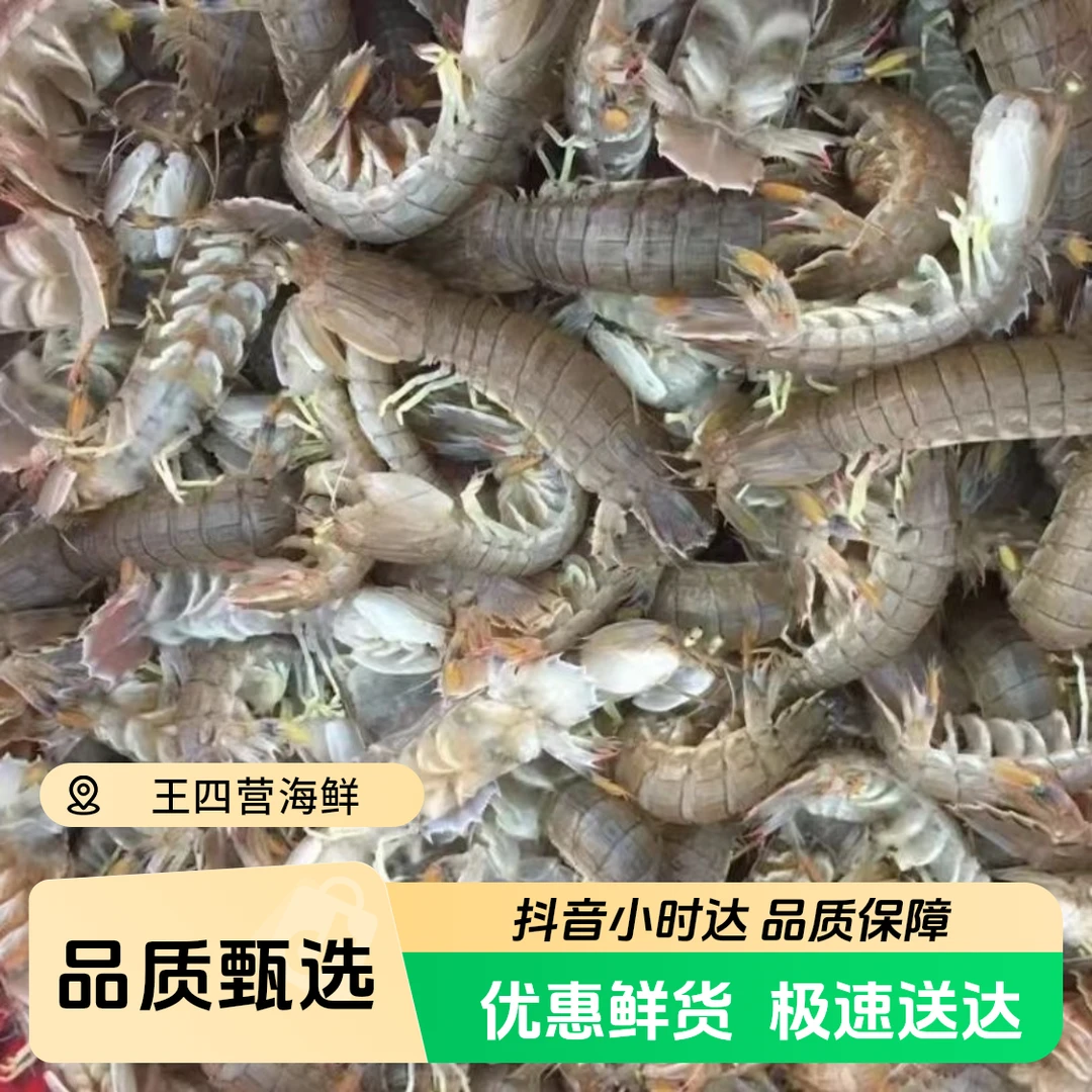 【秒杀价】鲜活皮皮虾，一斤45-55个，保鲜不包活