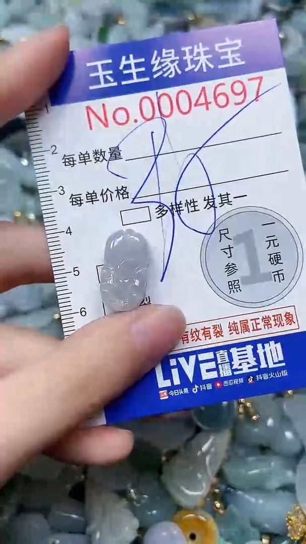 【闪购商品】翡翠颈饰未镶嵌闪购00004697