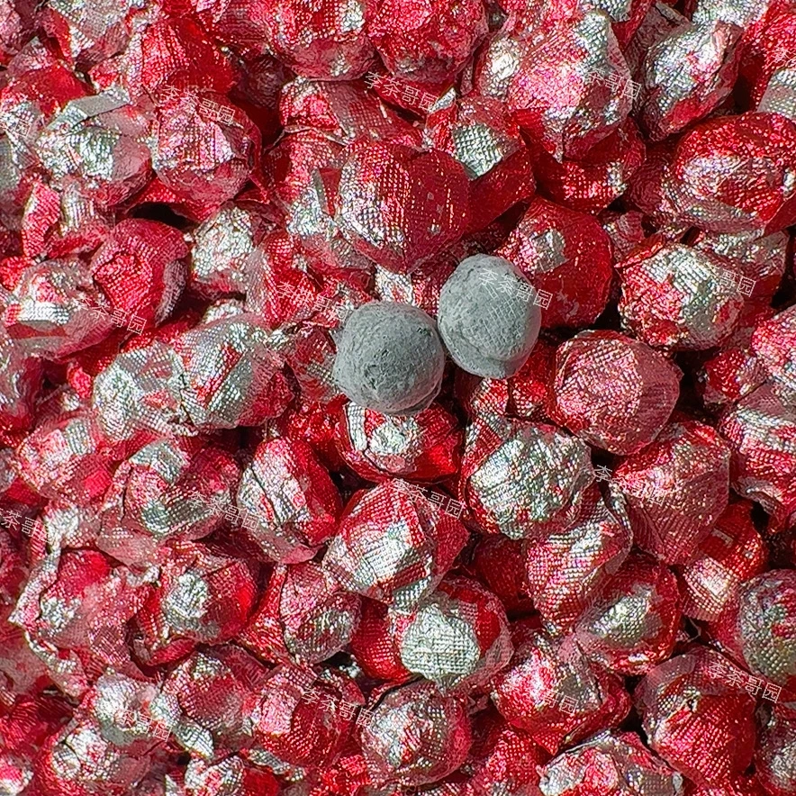 【三伏膏】五指毛桃三伏天必备