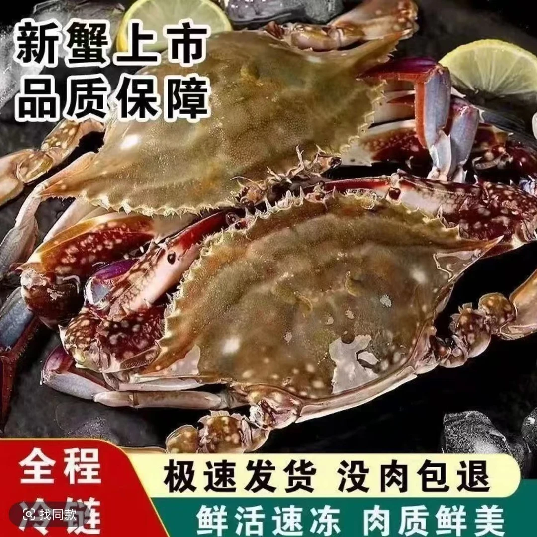 JZ【冻蟹】连云港黄海野生梭子蟹3-5两/只全母蟹到手10-12只净重4斤螃蟹