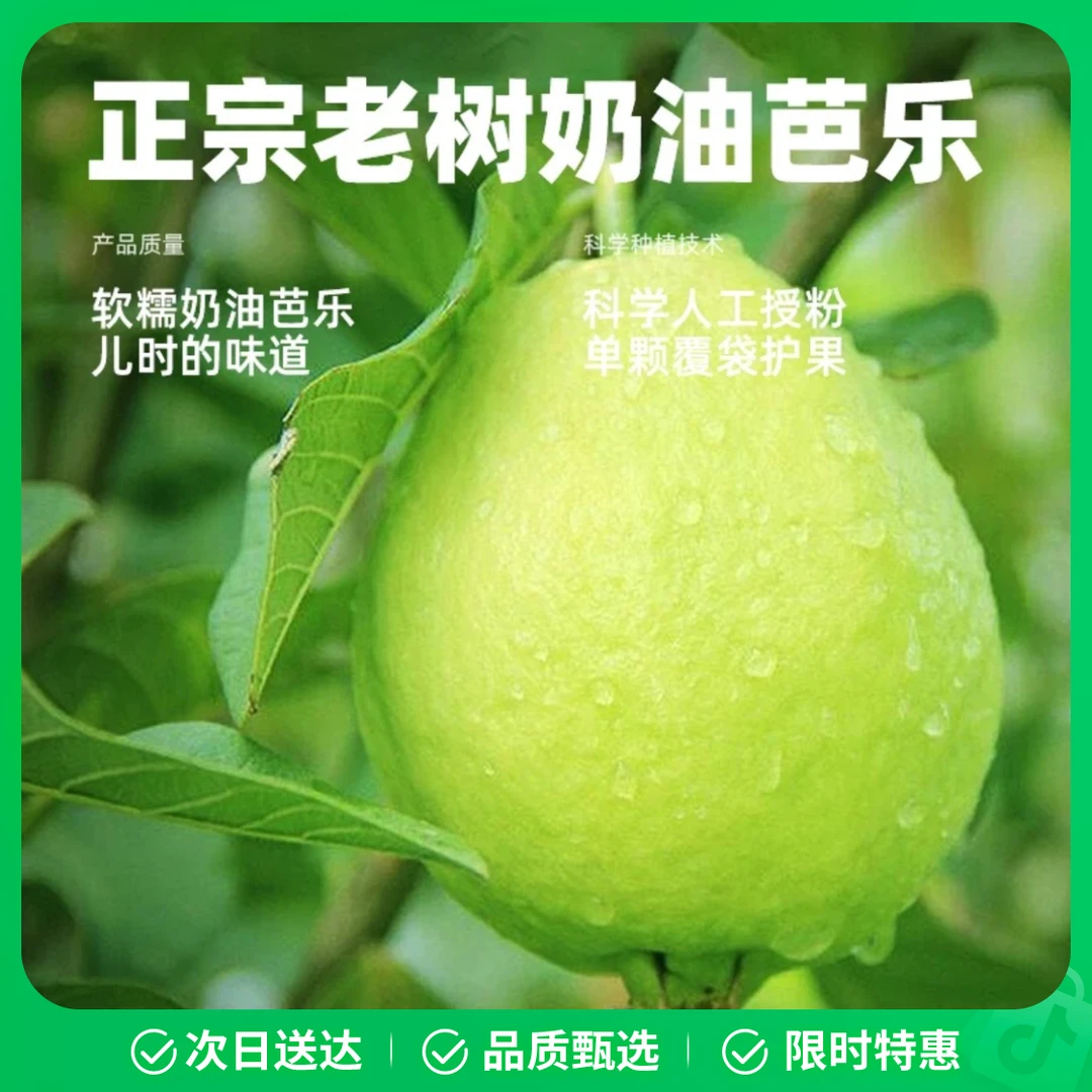 福建新鲜奶油芭乐软糯奶油大果脆甜当季水果包邮
