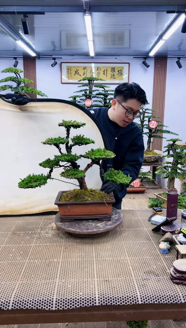 【闪购商品】一物一拍，所见即所得