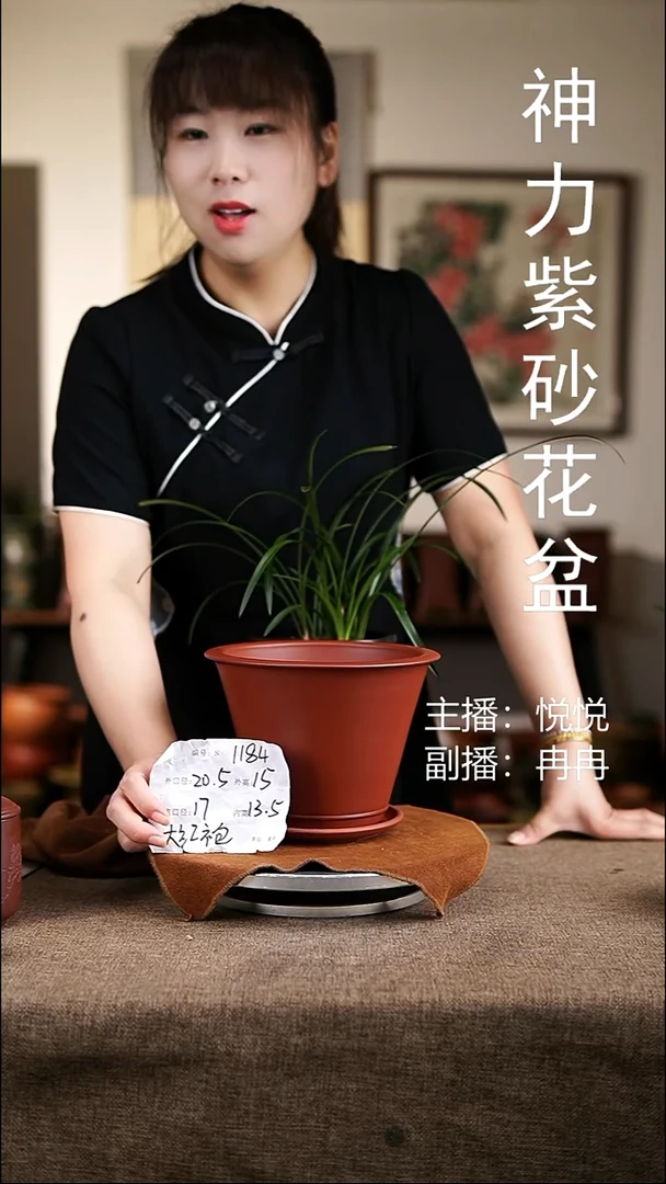 紫砂花盆花卉工艺1184+z大红袍