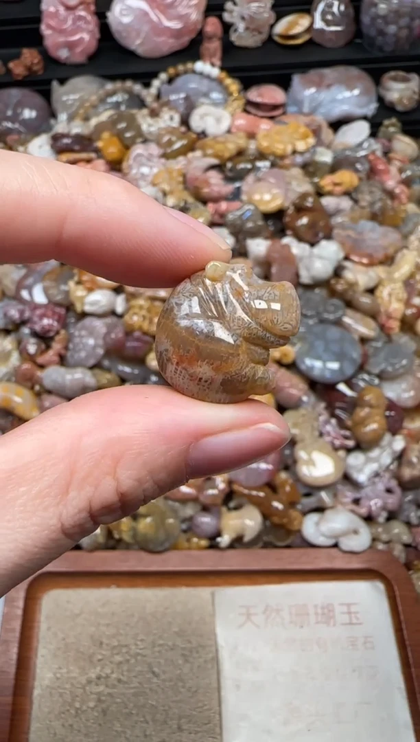 颈饰未镶嵌硅化珊瑚（珊瑚玉）264