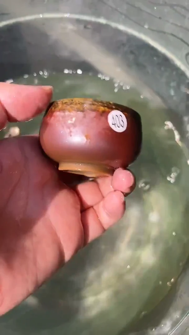 杯403号容量30ML陶泥