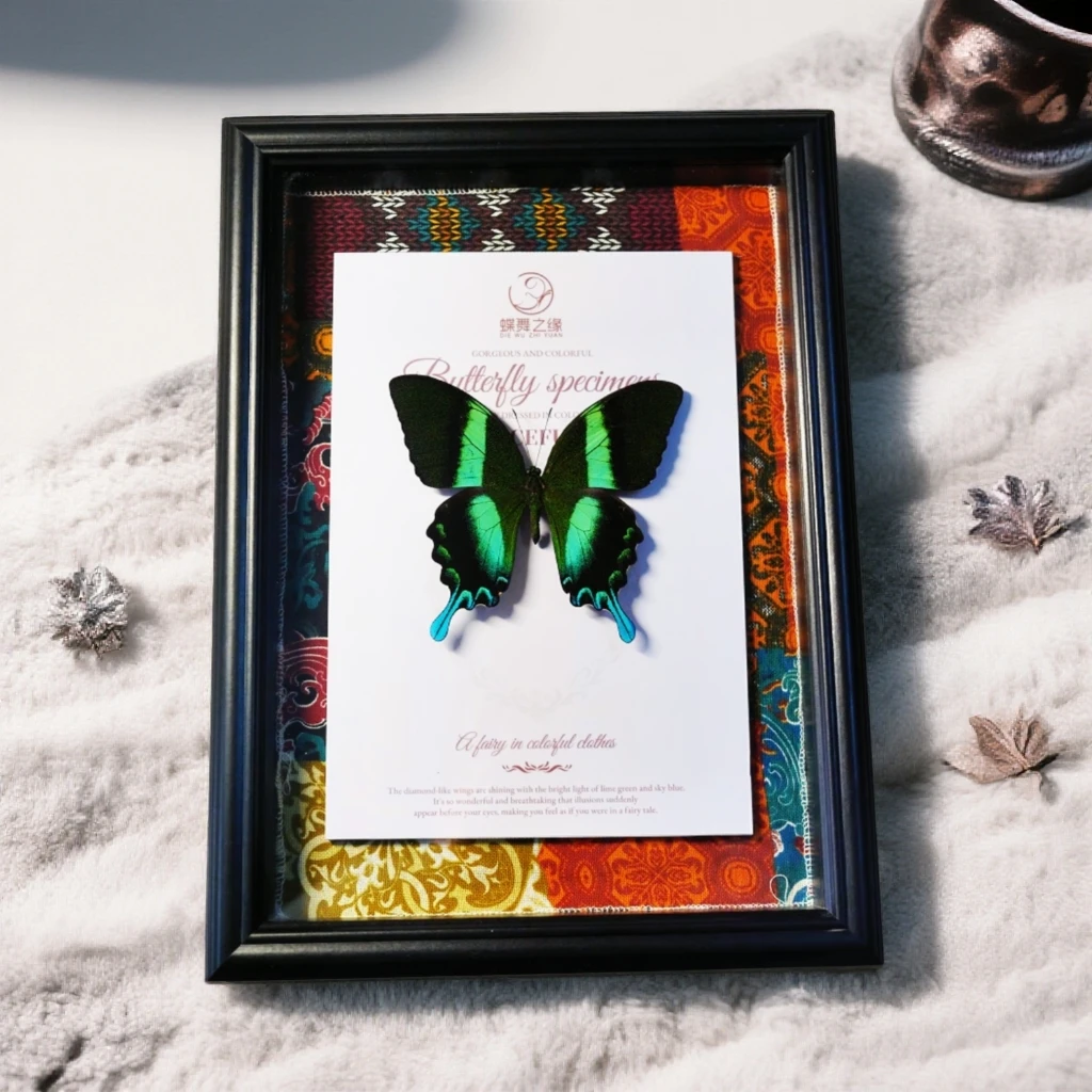 A1级爱神凤蝶文创蝴蝶标本装饰画文创实物摆件布艺装裱