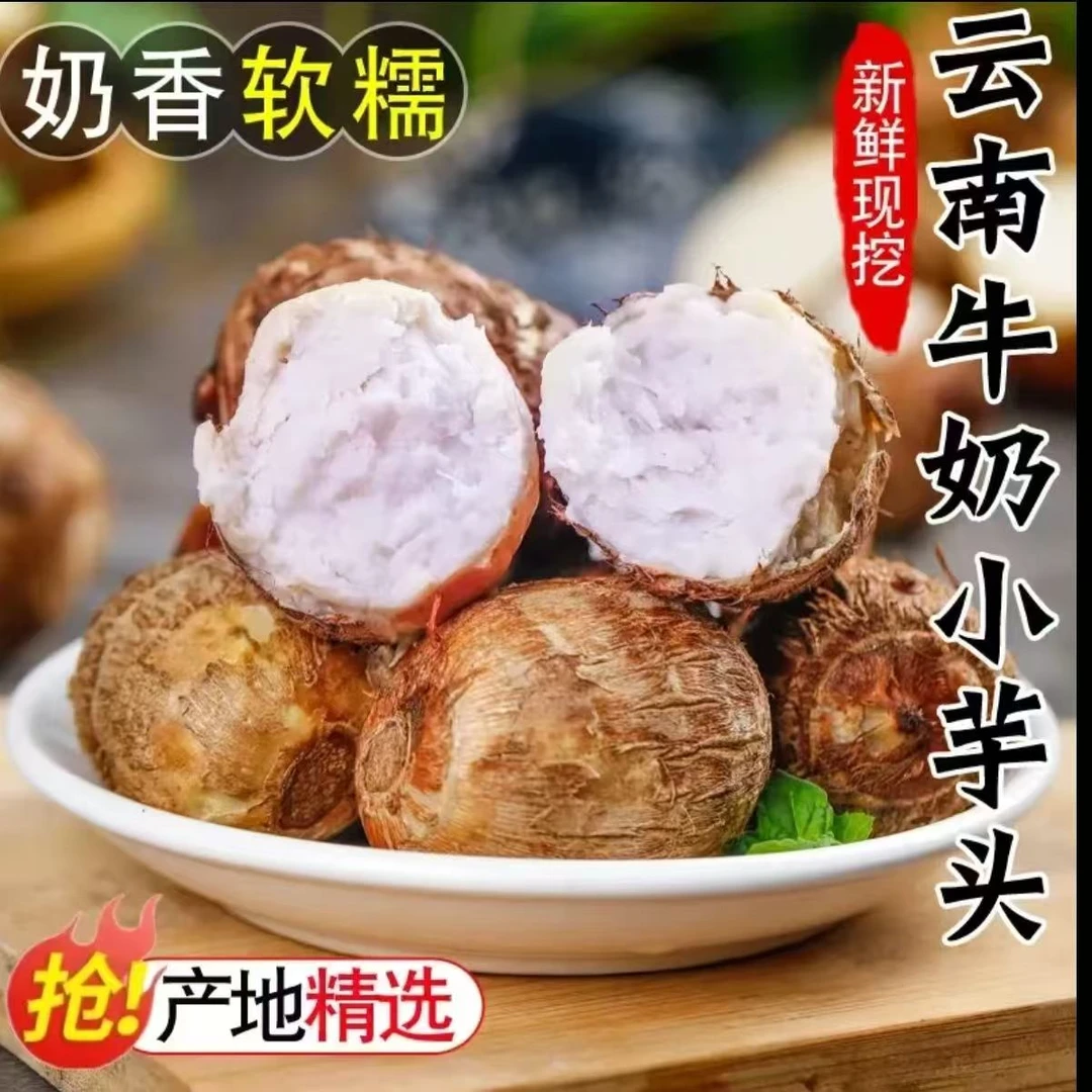 云南高山毛芋头新鲜现挖牛奶小芋头芋艿软糯香甜产地直发3斤5斤