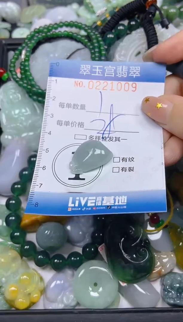 颈饰未镶嵌翡翠闪购C0221009