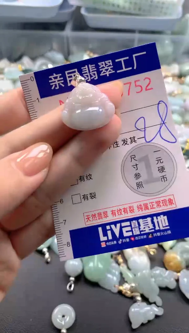 颈饰未镶嵌翡翠9752