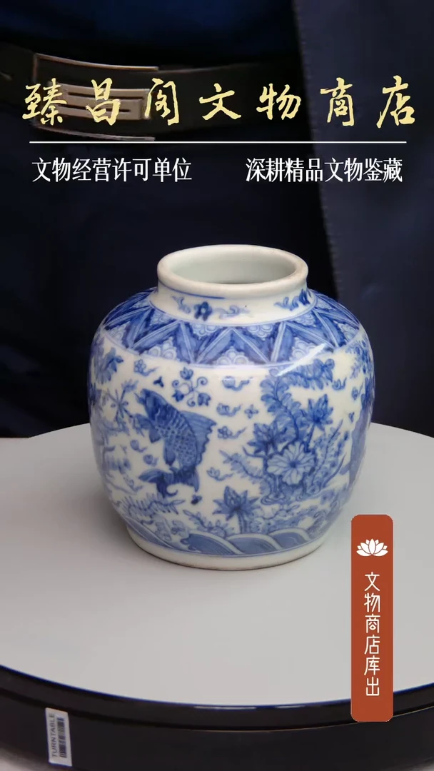 碗青花鱼藻纹罐瓷器d0071