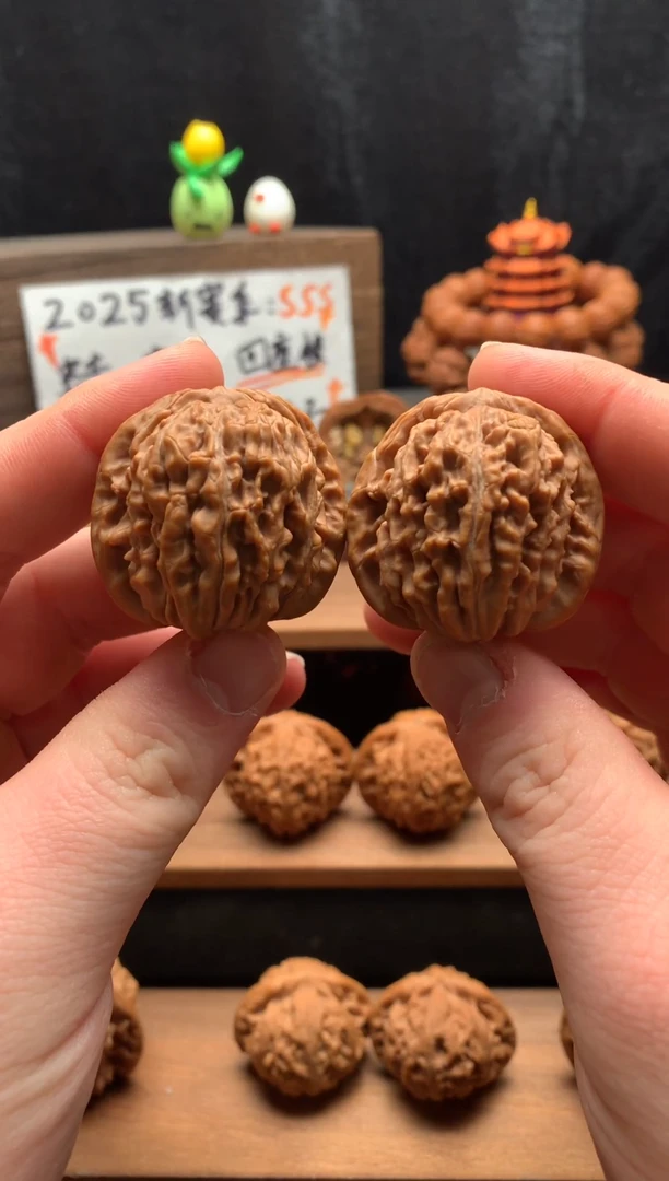 核桃2号 38尺山地满肉汉高楼 全品无修