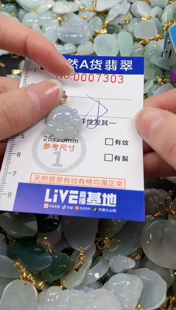 颈饰未镶嵌翡翠纯天然a货翡翠