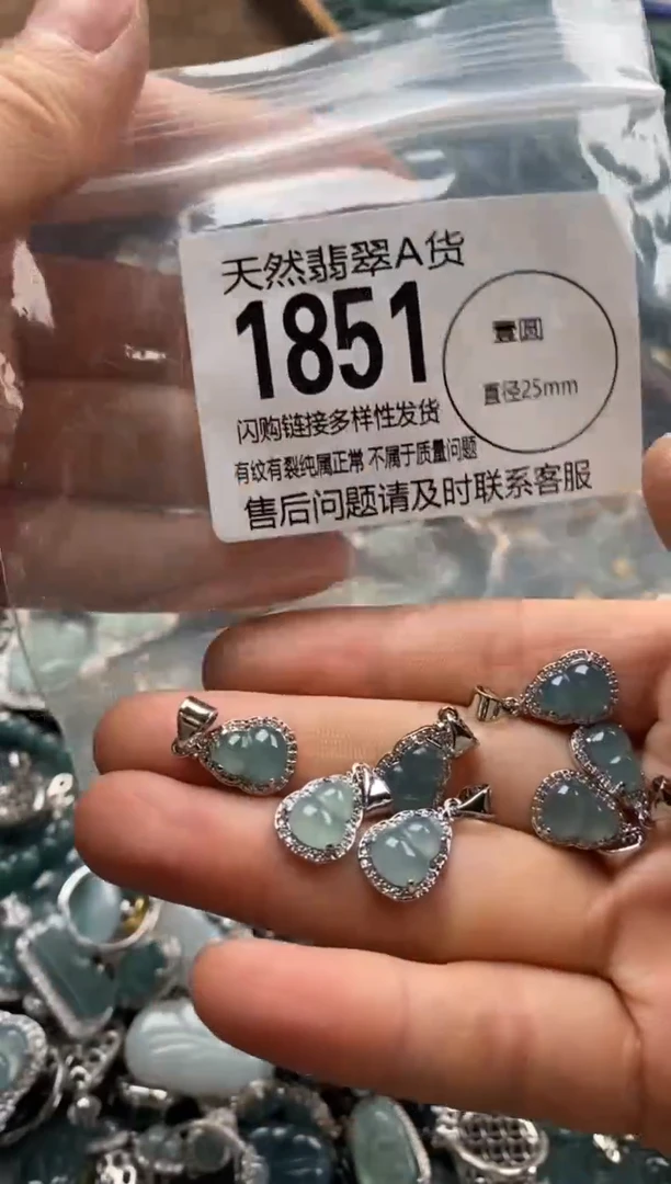 【闪购商品】翡翠颈饰未镶嵌多样性发其一1851