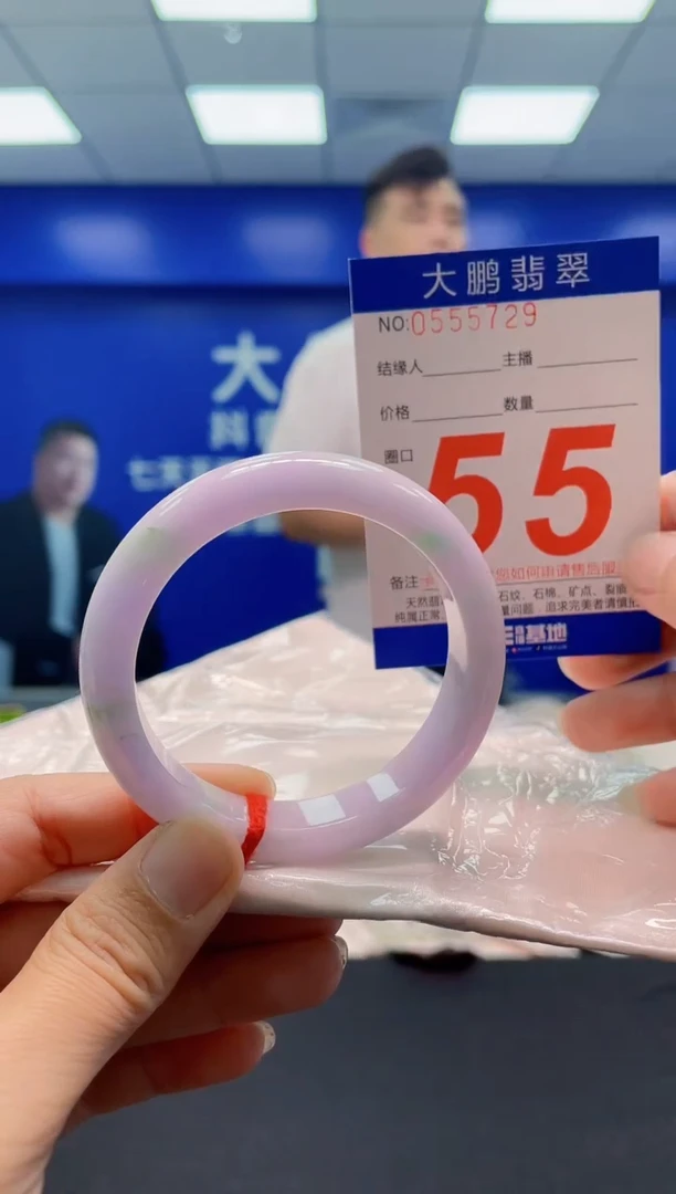 未镶嵌手镯翡翠AAAAAAAAA